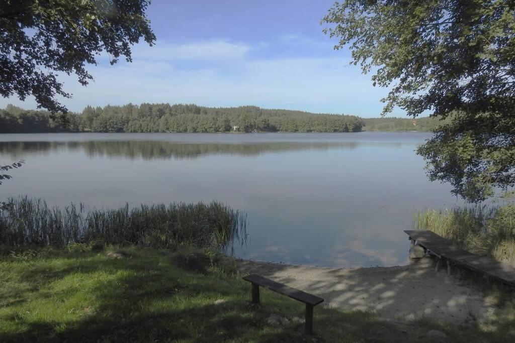 Modrzewiowy Domek Letniskowy - Stare Czaple Brodnica  Esterno foto