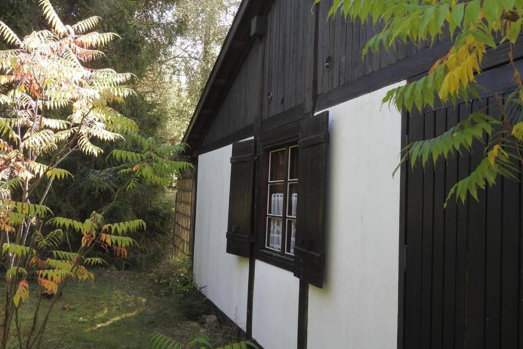 Modrzewiowy Domek Letniskowy - Stare Czaple Brodnica  Esterno foto