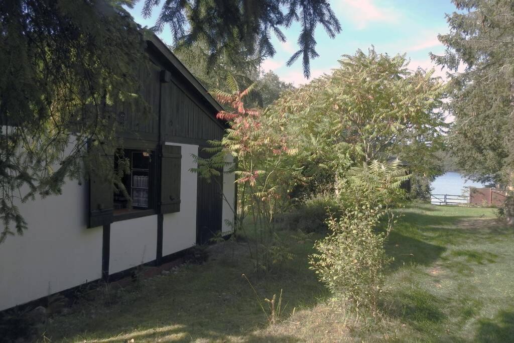 Modrzewiowy Domek Letniskowy - Stare Czaple Brodnica  Esterno foto