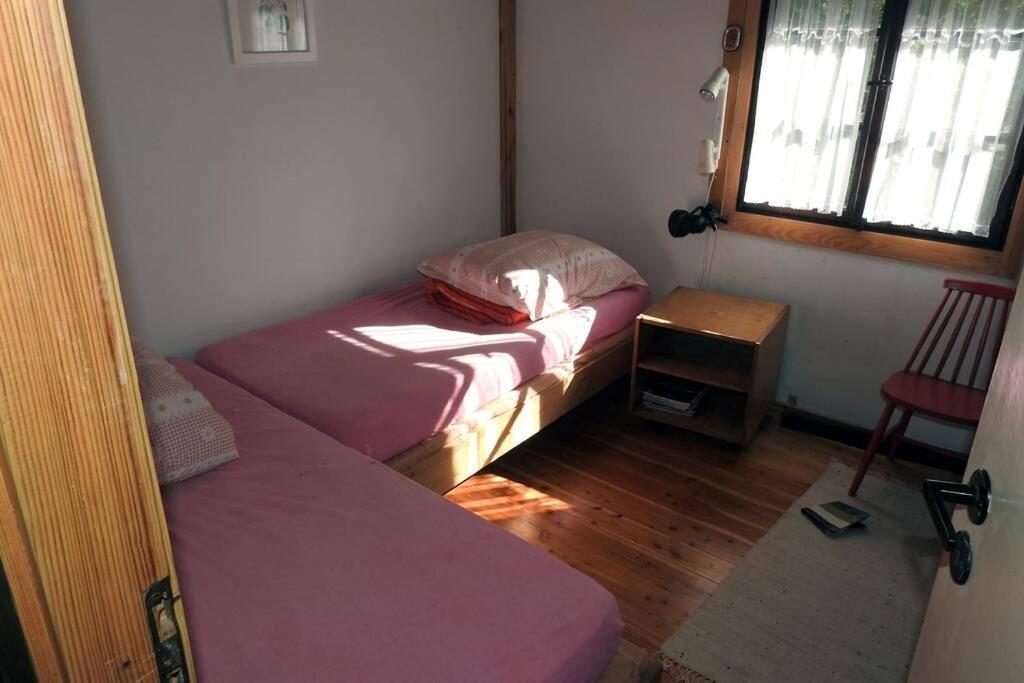 Modrzewiowy Domek Letniskowy - Stare Czaple Brodnica  Esterno foto