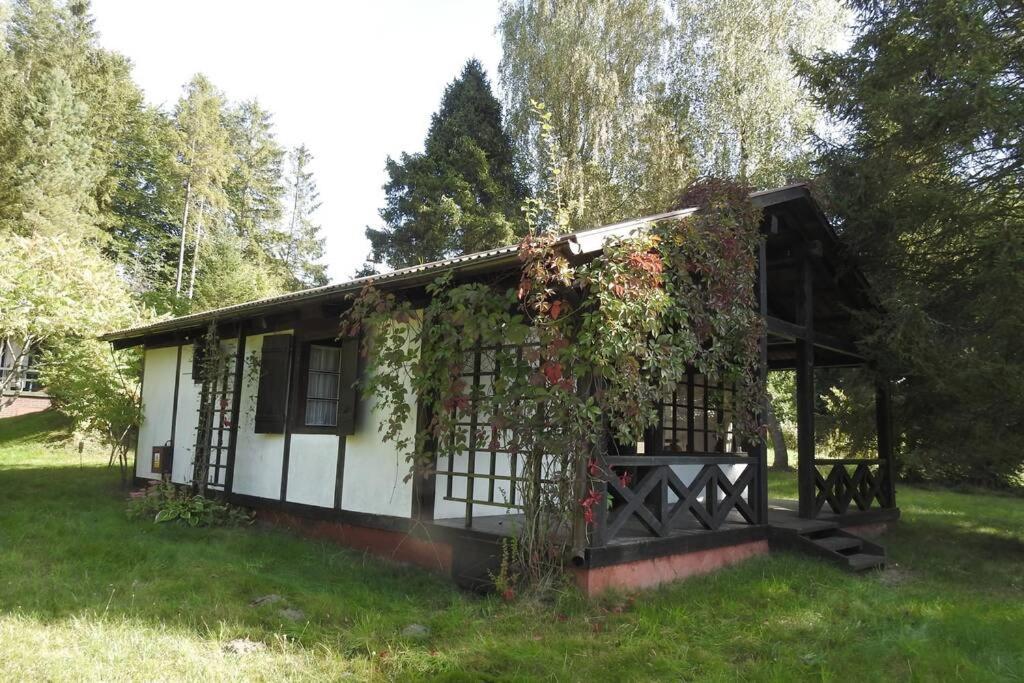 Modrzewiowy Domek Letniskowy - Stare Czaple Brodnica  Esterno foto
