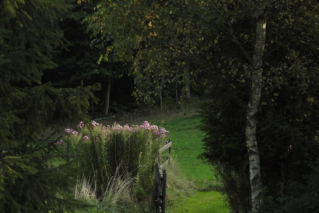 Modrzewiowy Domek Letniskowy - Stare Czaple Brodnica  Esterno foto