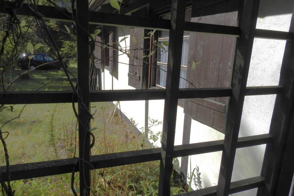 Modrzewiowy Domek Letniskowy - Stare Czaple Brodnica  Esterno foto